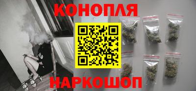 сатива Моздок