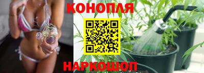 Альфа ПВП Можайск