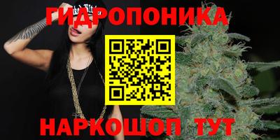 эйфоретик Можга