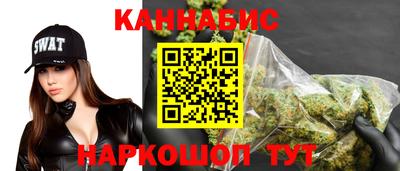 сатива Моздок