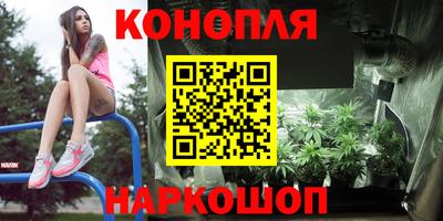 Альфа ПВП Можайск