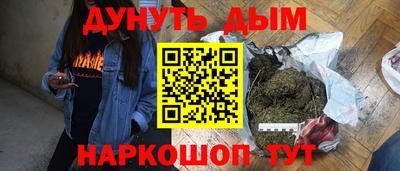 сатива Моздок