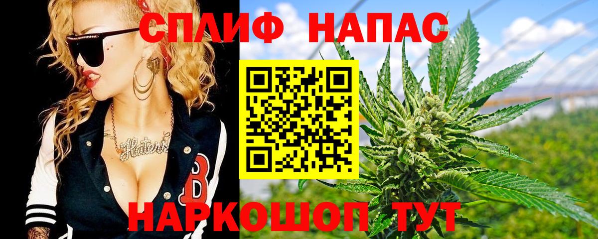 Конопля конопля Торжок